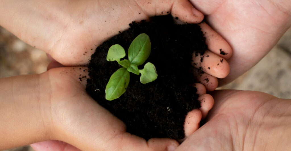 educacionambiental_2